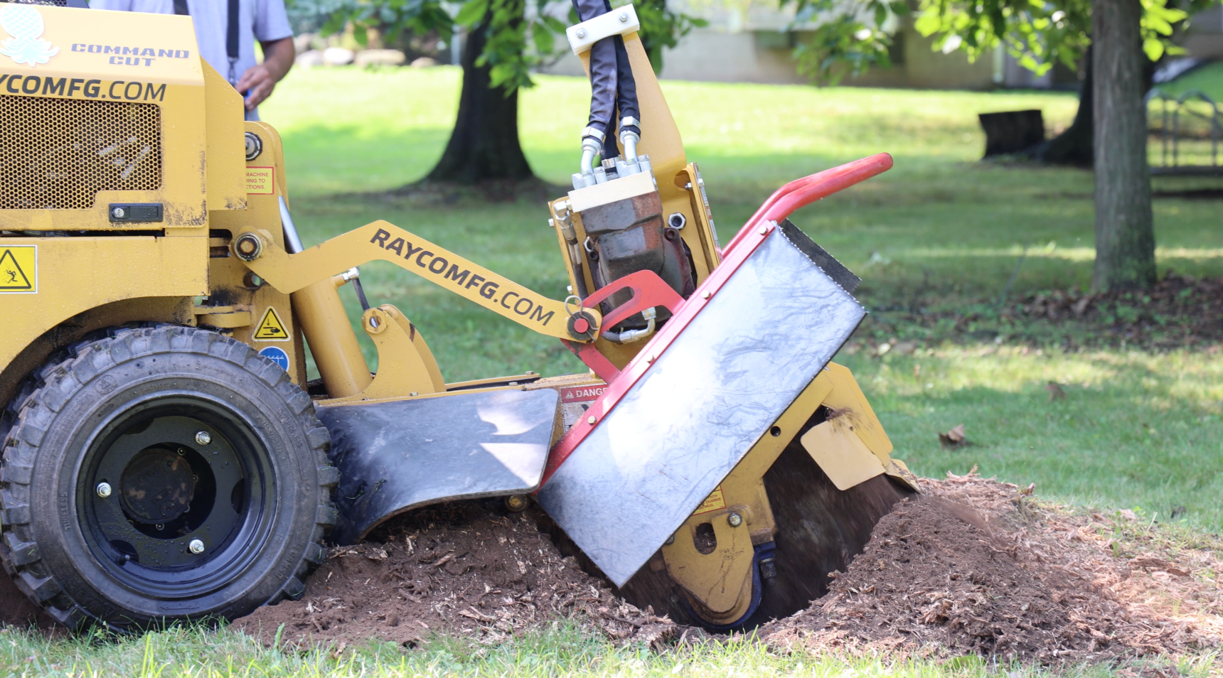 Stump Grinding in Rocheser