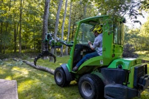 Tree Removal in Rochester