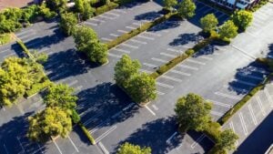 Commercial Tree Services in Rochester