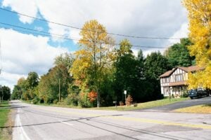 Brighton NY Tree Services