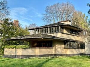Tree Services in East Rochester.