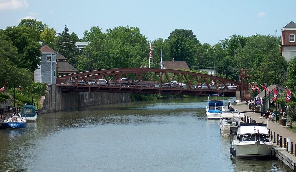 Tree Services in Fairport