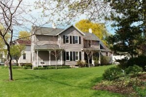 Tree services in Henrietta.