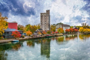 Tree services in Pittsford