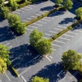 Commercial Tree Services in Rochester