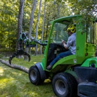 Tree Removal in Rochester
